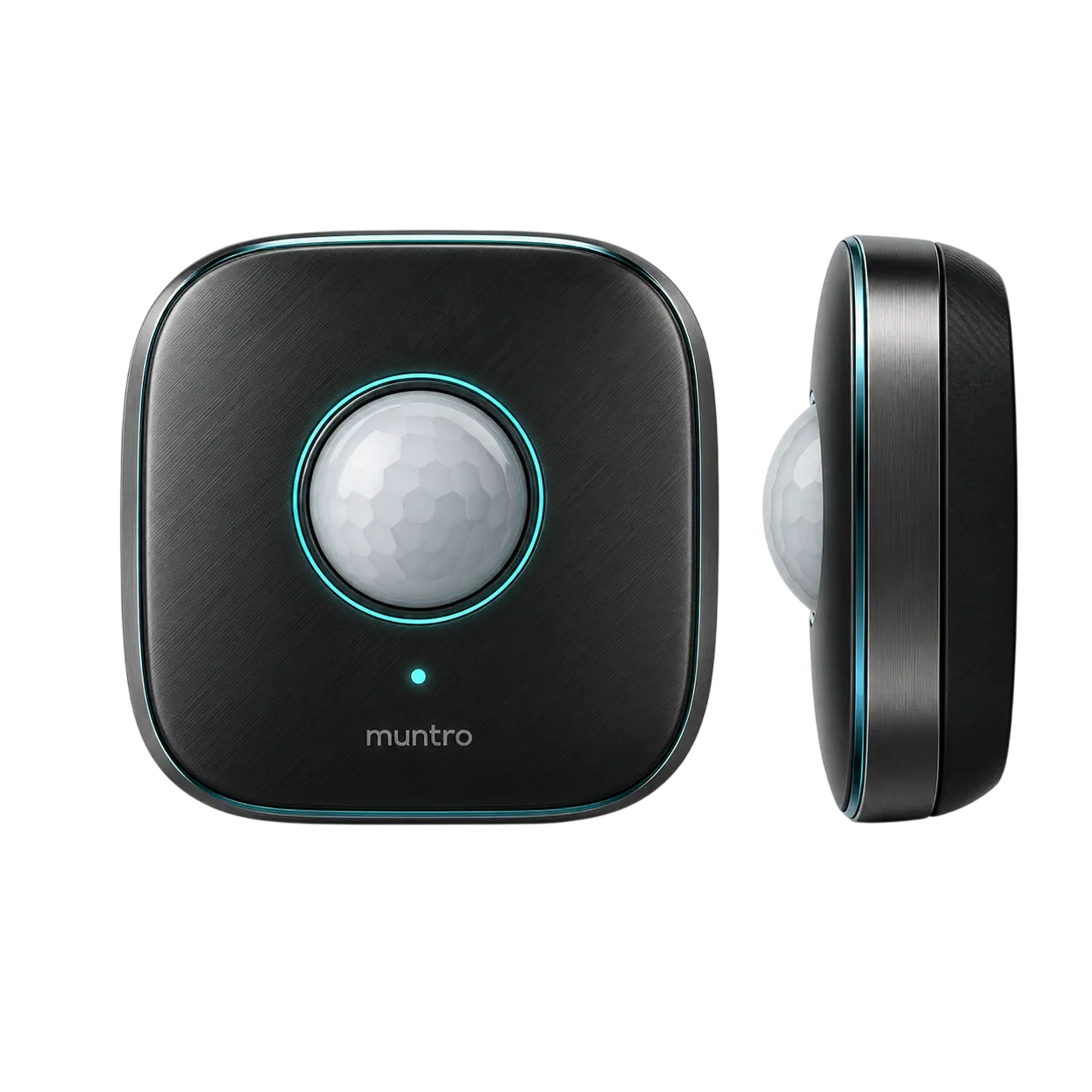 Muntro Motion
